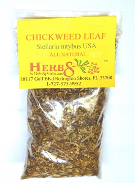 Chickweed (Stellaria media)